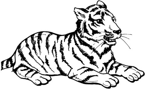 Tiger Sits Coloring Page